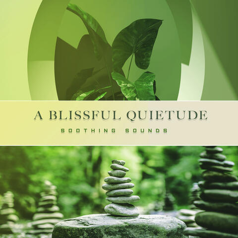 A Blissful Quietude