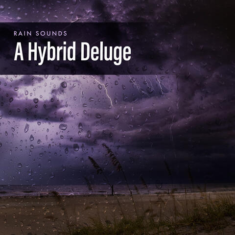 A Hybrid Deluge