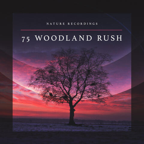 75 Woodland Rush