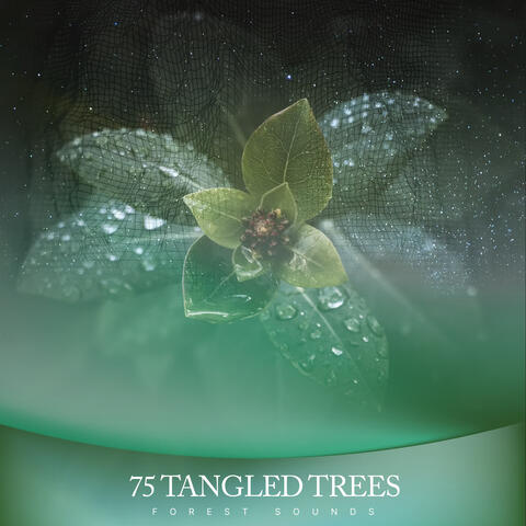 75 Tangled Trees