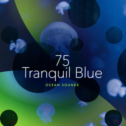75 Tranquil Blue