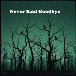 Never Said Goodbye