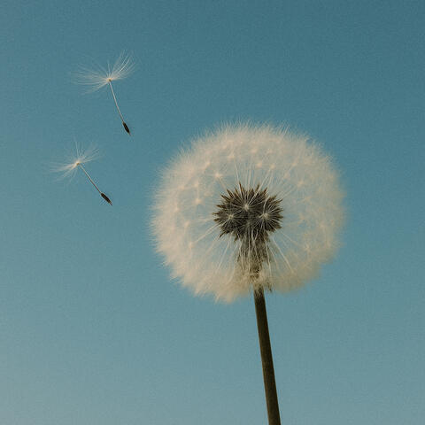 10 Contemplations: Memory Of Air
