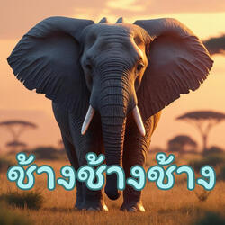 ช้างช้างช้าง