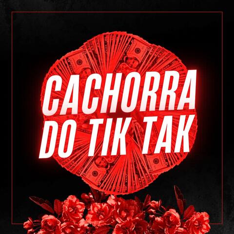 CACHORRA DO TIKTAK