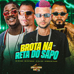 BROTA NA RETA DO SAPO