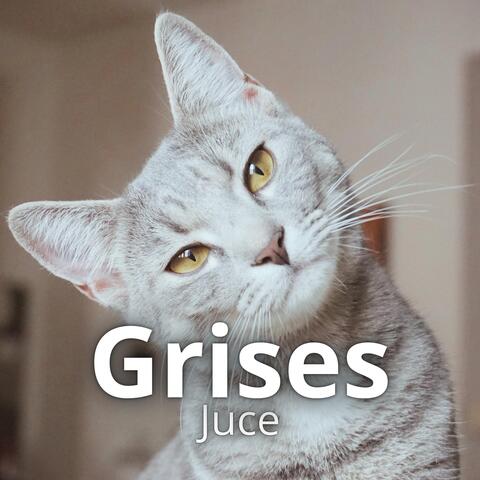 Grises