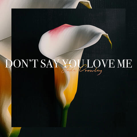 Don't Say You Love Me