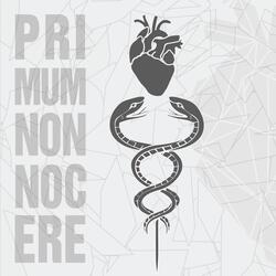Primum Non Nocere