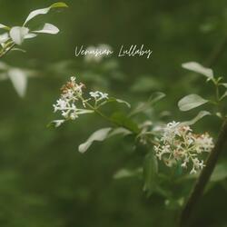 Venusian Lullaby