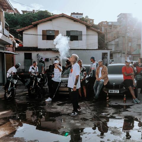 Travis - REAL MANDRAKE.