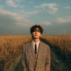 Before the Light Fades