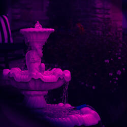 Walked It Alone, Buzzed In The Rain
