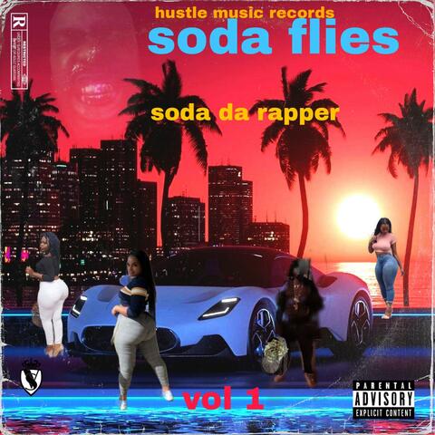soda flies