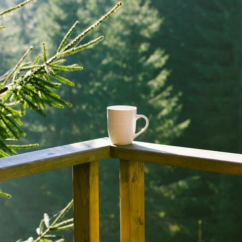 Relax Gentle Breeze Forest Cafe Piano