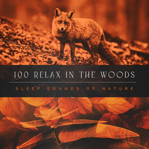100 Relax in the Woods
