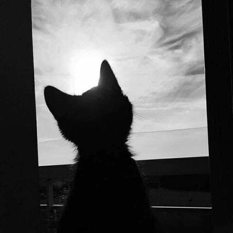 Silent Luv