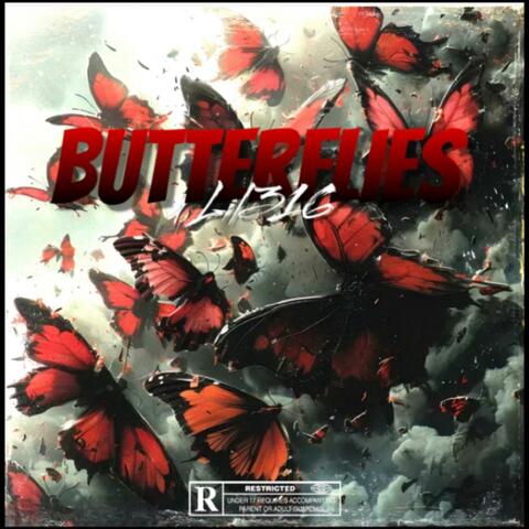 Went Wild (Butterflies)