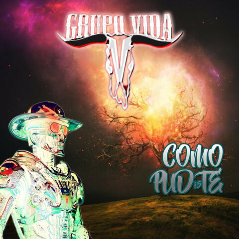 Como Pudiste