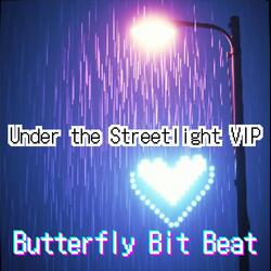 Under the Streetlight VIP