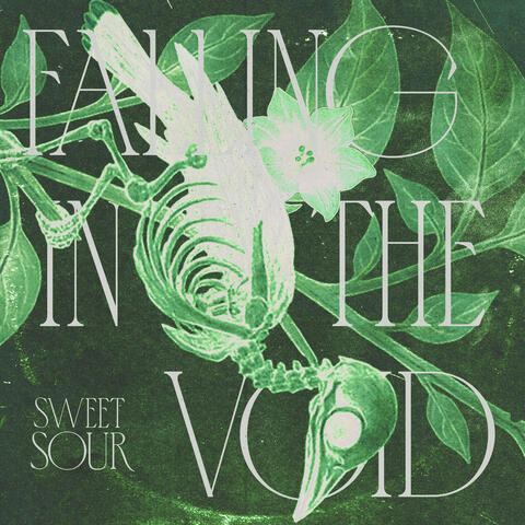 Falling in the Void