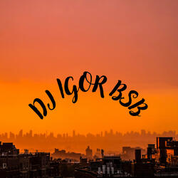 ALOK AND SEVEN ELECTRO FUNK