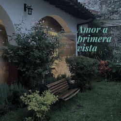 Amor a primera vista