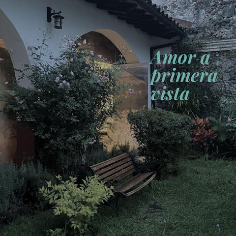 Amor a primera vista