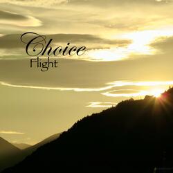 Flight