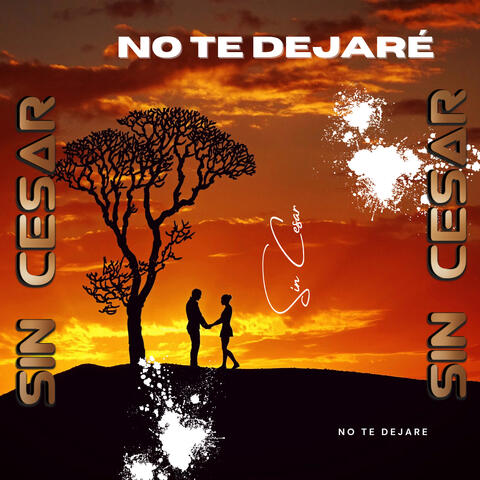 No Te Dejaré