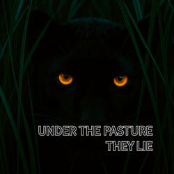 Under the Pasture They Lie