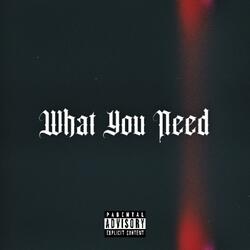 What You Need
