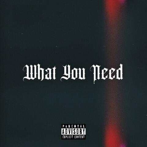 What You Need