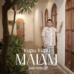Kupu Kupu Malam