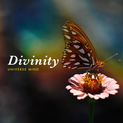 Divinity