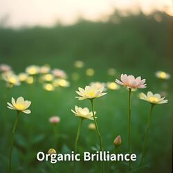 Organic Brilliance