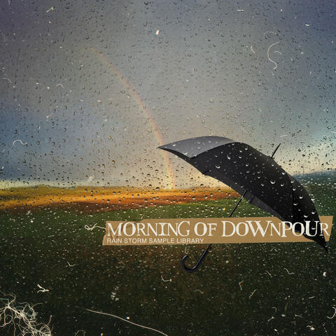 Morning of Downpour