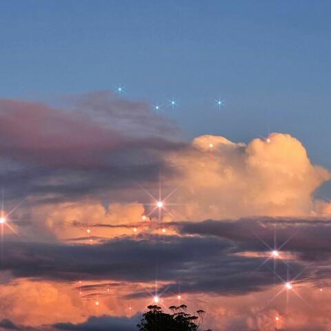 Daydream