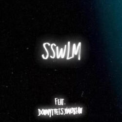 SSWLM
