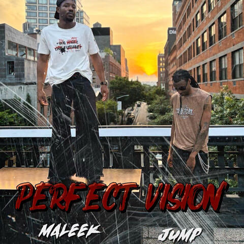 Perfect Vision