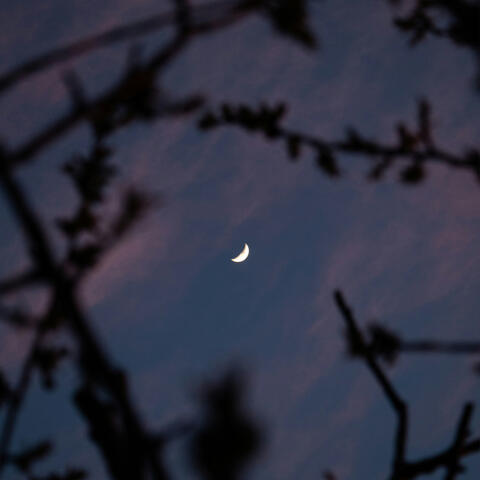 i told the moon