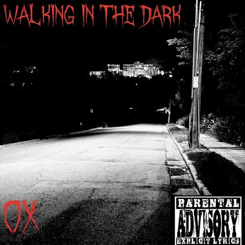 Walking In The Dark