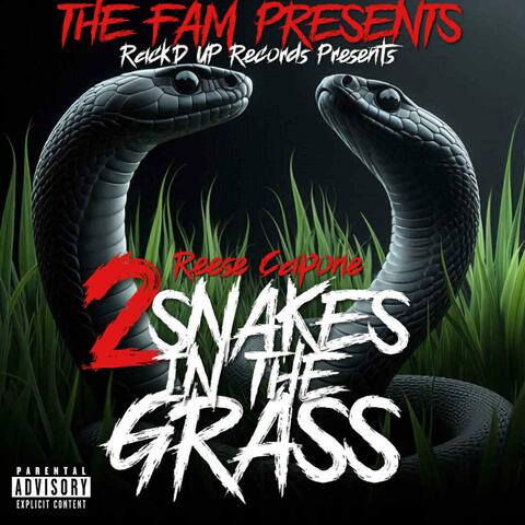2 SNAKES in The Grass