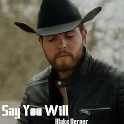 Say You Will