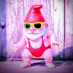 #ShotAtAGardenGnome