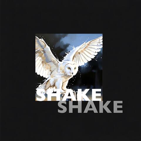 SHAKE, SHAKE