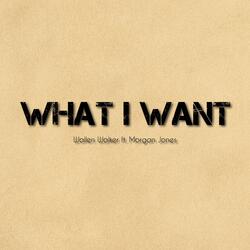 What I Want
