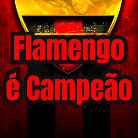 Flamengo é Campeão