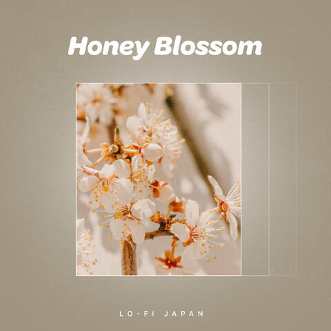 Honey Blossom