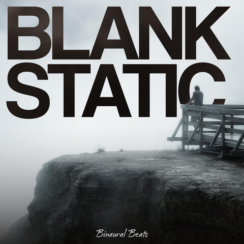 Blank Static